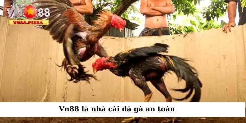 Vn88 là nhà cái đá gà an toàn